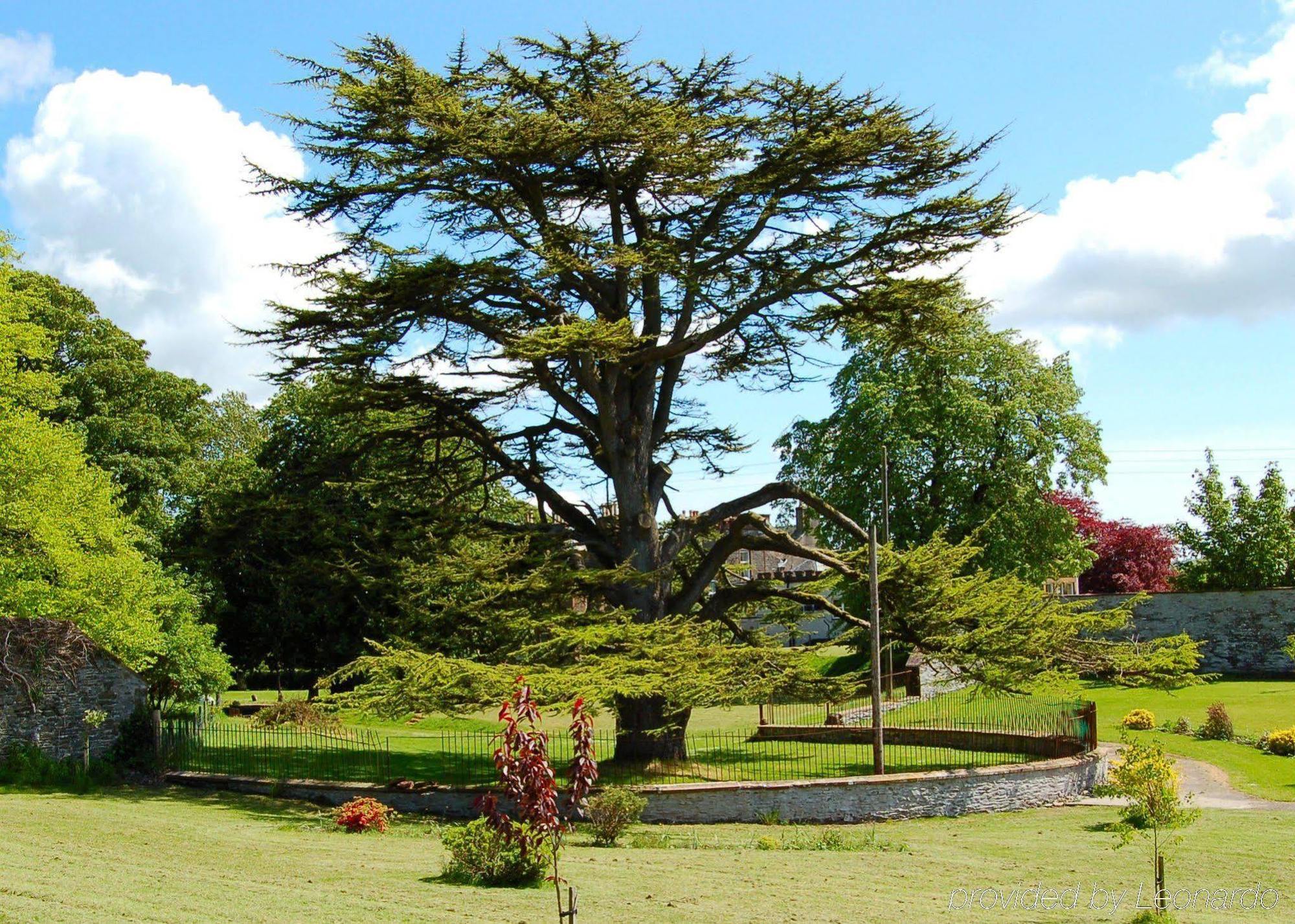 The Urr Valley Country House Hotel Castle Douglas Buitenkant foto